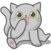 Cat FullMoon 8