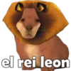 PERRITO PACK11 9