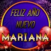 Feliz Año Nuevo 3(Nombres) 6