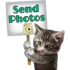 Send
Photos
Persephone