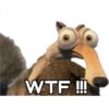 WTF!!!
