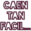 Textos 6