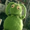 Kermit the frog part 2(Feat. Gerry) 8