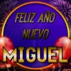 Feliz Año Nuevo 3(Nombres) 7