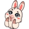 Funny rabbit 5