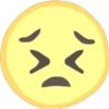 Nose3 9