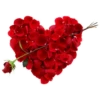 Valentine's Day 7