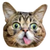 S.com