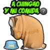 ACHINGAO
MI COMIDA?
GRISE!
GRISE