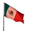 Bandera de México 5