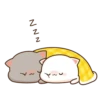 N NN
