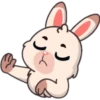 Funny rabbit 8