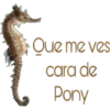 Que me ves
cara de
Pony