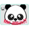 panditas 12