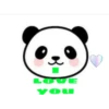 panditas 13