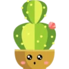 Cactus 8