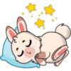 Funny rabbit 10