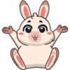 Funny rabbit 11