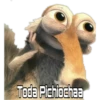 Toda Pichiochaa