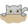Cat FullMoon 13