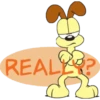oddie y garfield 6