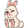 Funny rabbit 12