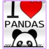 panditas 16