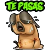 TE PASAS
GRISE