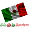 Bandera de México 6