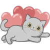 Cat FullMoon 14