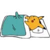 Pikachu 14