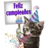 Feliz
cumpleaños
THID
THE
m
mum-
poinstrone
So