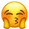 UWU 8