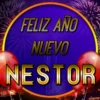 Feliz Año Nuevo 3(Nombres) 13