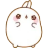 molang reactions! 6