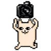 Pixel cat 8