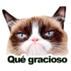 Qué gracioso