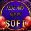 Feliz Año Nuevo 3(Nombres) 14