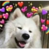 uwu 17