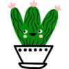 Cactus 9