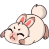 Funny rabbit 14