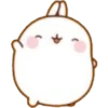 molang reactions! 7