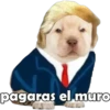 PERRITO PACK11 10