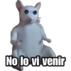 No lo vi venir