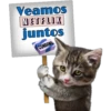 Veamos
NETFLIX
juntos
CONDOMS
Persephone