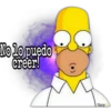 Mi Dulce Homero S. 11