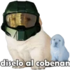 PERRITO PACK11 11