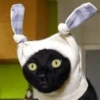 Stupid animal faces 15