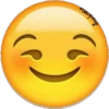 Emoji 12
