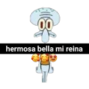 Calamardo 14